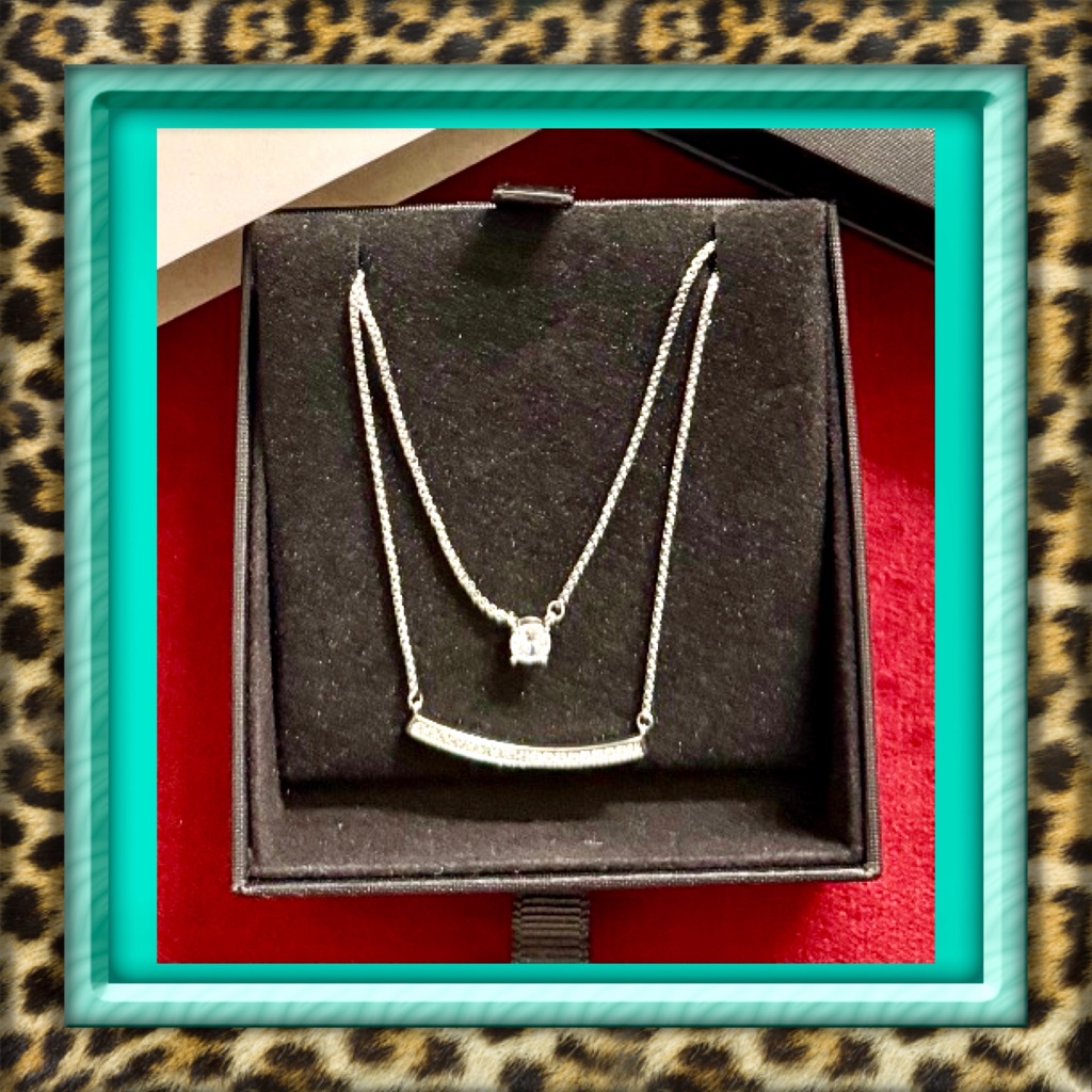 Price Firm Jones New York Platinum Silver Jackie Necklace Brand New